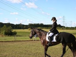 IMG_4188-003-redigeret